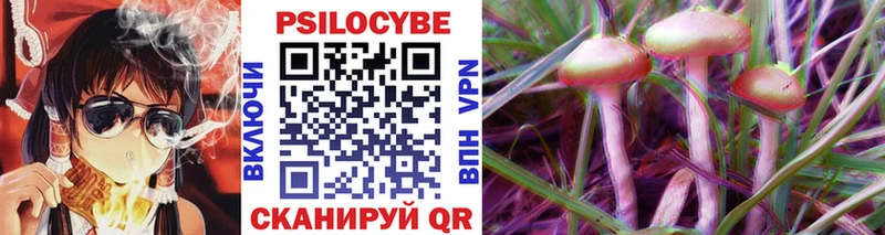 цены наркотик  Горнозаводск  Псилоцибиновые грибы Psilocybine cubensis 